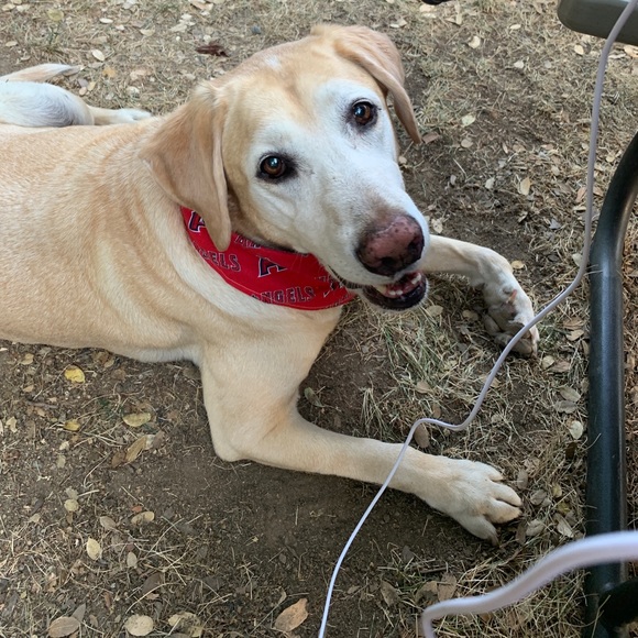 Meet your Posher, Heidi - Picture 7 of 9